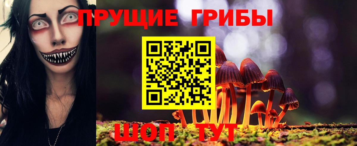 Псилоцибиновые грибы Psilocybine cubensis  Вход с VPN  Хасавюрт 